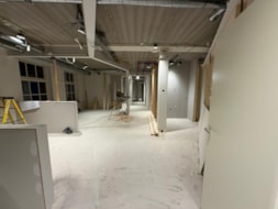 WhatsApp Image 2026-02-18 at 11.12.39